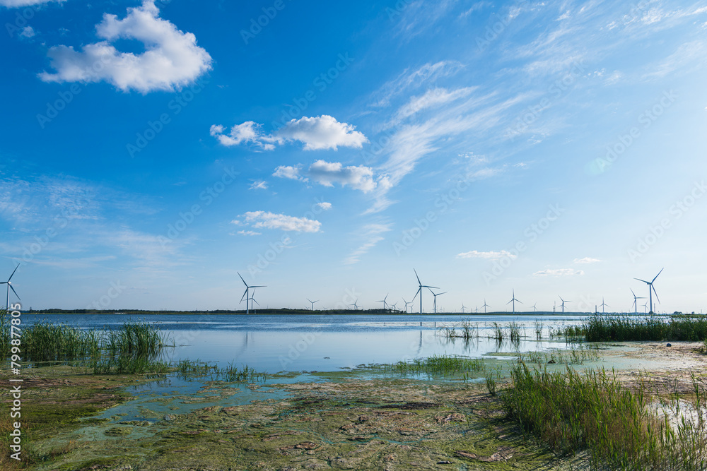 Wetland wind power generation in Daqing City, Heilongjiang Province Wetland wind power generation in Daqing City, Heilongjiang Province