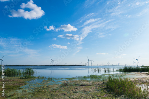 Wetland wind power generation in Daqing City, Heilongjiang Province
