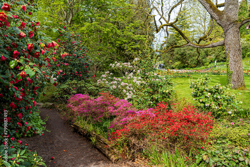 Insel Mainau im Frühling mit blühenden Tulpenbeeten, Azaleen