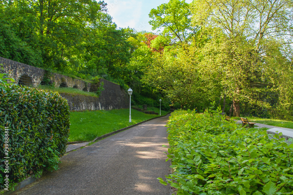Path in a park with a bench and a lamp post. The path is surrounded by bushes and trees
