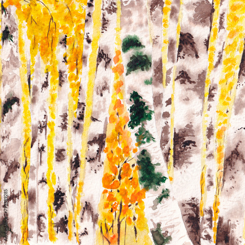 Watercolor illustration of a deciduous forest photo