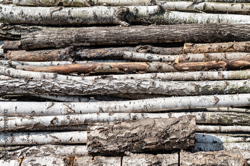 Birch tree trunks stacked in a row. Background of birch logs stacked behind a chain-link mesh