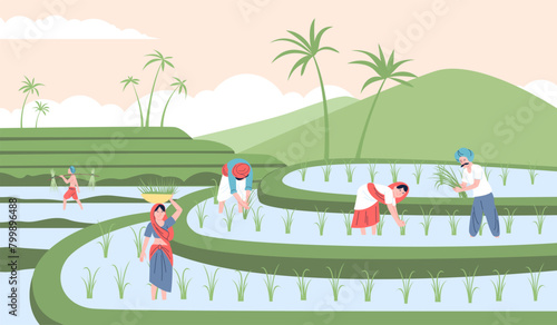 Indian farmers in rice fields. Smiling asian farmer working, man and woman farming and planting. Agricultural workers, rural recent vector scene photo