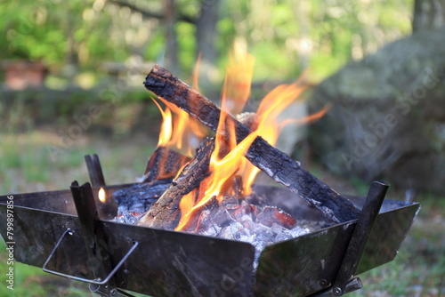 春のキャンプで焚き火台での焚き火