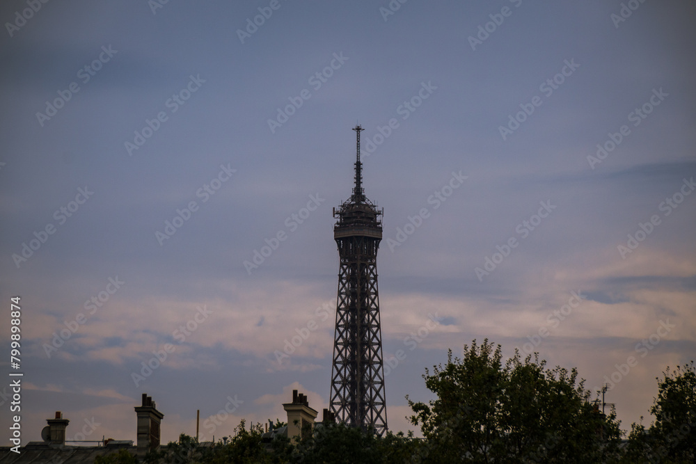 Fototapeta premium eiffel tower in the city