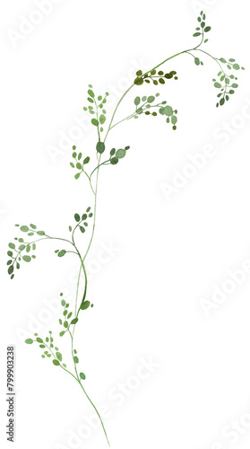 Watercolor tiny twig with green leaves isolated illustration, botanical wedding element
