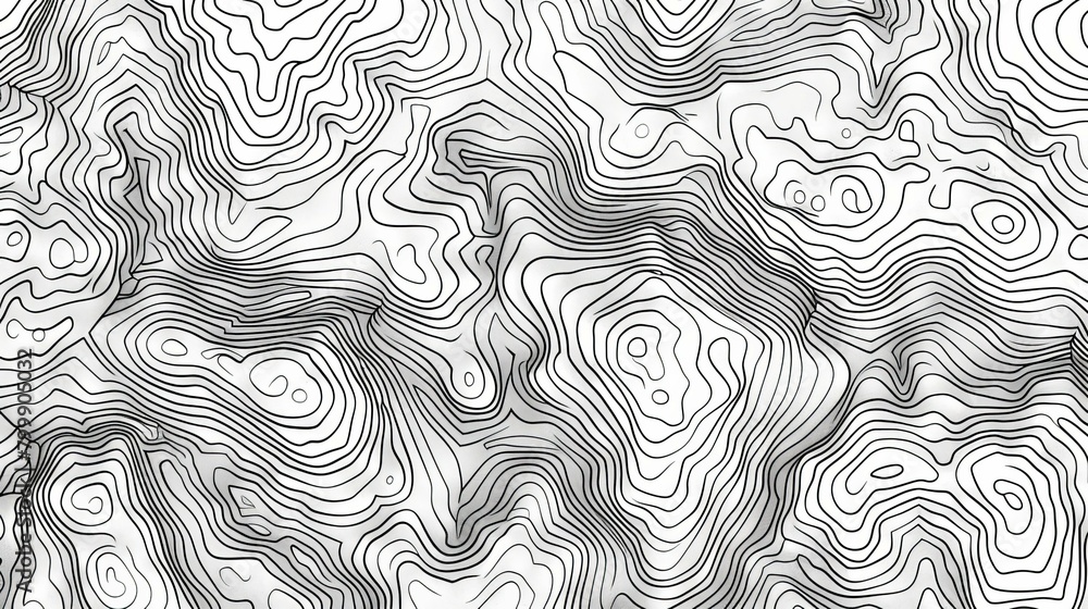 A mesmerizing array of black and white topographic lines