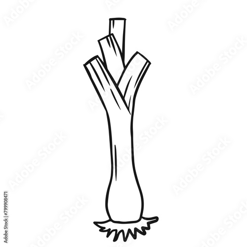 Leek Outline