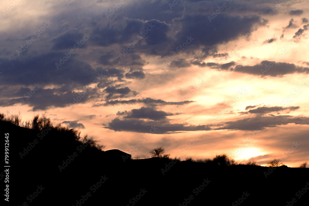 Dramatic view of sky with menacing clouds with silhouettes of plants in evening. Nature Dramatic view of sky with menacing clouds with silhouettes of plants in evening. Nature