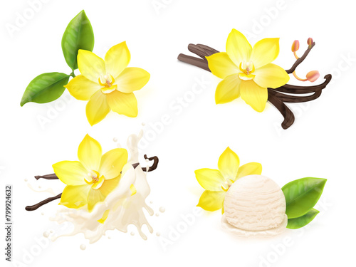Realistic vanilla flowers. Vanil flower plant pod beans with milk splash, spice dessert sugar extract cream flavour tasty sweets aroma perfume taste food exact vector illustration