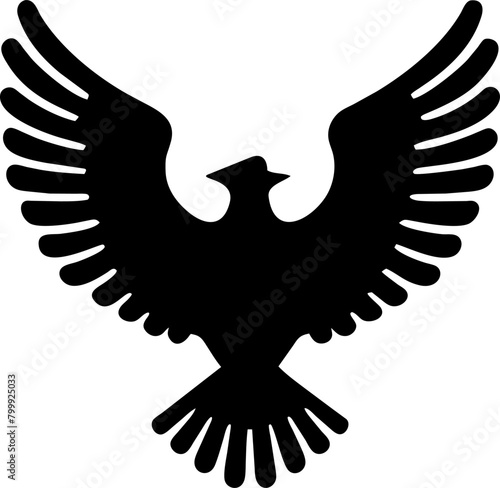 the domineering eagle spreads its wings and flies, pictogram photo