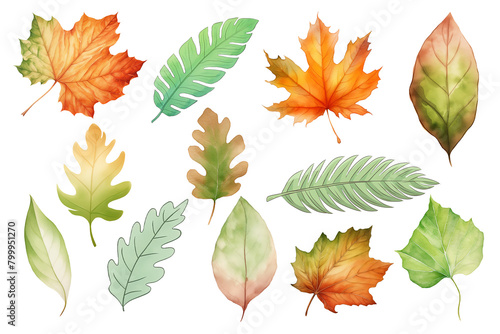 A set of watercolor fall leaves in various colors and shapes.