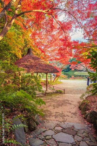 Koishikawa Korakuen Gardens
 photo