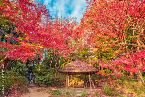 Koishikawa Korakuen Gardens  © Kha