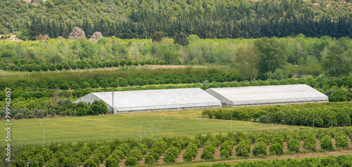 Distance view of greenhouse among fields on a sunny day