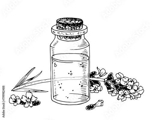 Lavender Oil bottle Vector line art. Black and white drawing of medicinal flower extract. Outline illustration of essential cosmetic. Sketch on isolated background. Hand drawn editable clipart