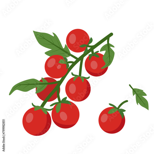Fresh Cherry tomatoes branch. Red farm tomato plant icon. Organic vegetables vegetarian food. Vector illustration isolated on white background.