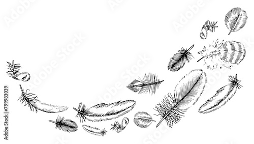 Feather vector Border. Black line art drawing of flying quills. Hand drawn set of plumes of different birds. Linear sketch on isolated white background. Outline illustration in engraving style © Ekaterina