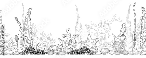 Sea Bottom Vector seamless Border. Hand drawn undersea background. Black and white line art drawing of coral reef with seaweed. Outline illustration of underwater beach. For the design of frames © Ekaterina
