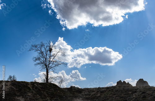 A withered tree at an arid land under the blue cloudy sky