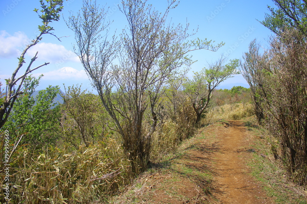 箱根町　登山