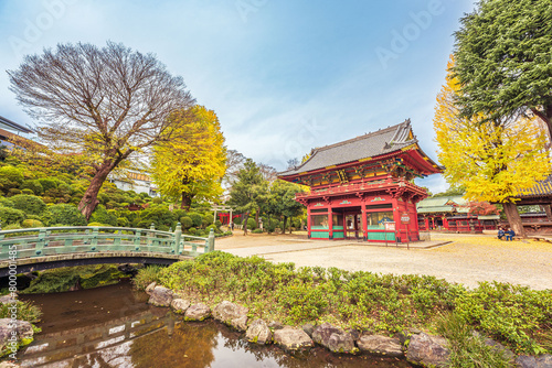 Nezu Shrine in Autumn 