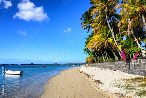 Billede på lærred Africa, Mauritius, Pamplemousses, coast at Tombeau Bay