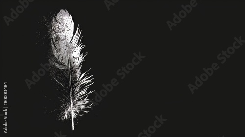 Elegant feather glistening against a dark background, evoking simplicity and artistry