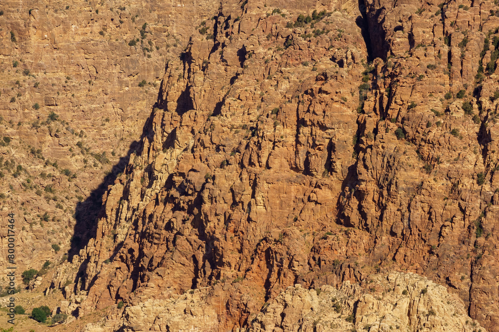 Dana Biosphere Reserve is Jordan's largest nature reserve, located in south-central Jordan and includes mountain slopes of Eastern Rift Valley to Wadi Arab. Jordan. Dana Biosphere Reserve is Jordan's largest nature reserve, located in south-central Jordan and includes mountain slopes of Eastern Rift Valley to Wadi Arab. Jordan.