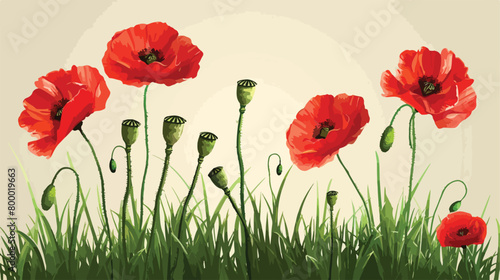 Poppy flowers on green grass. Remembrance Day 