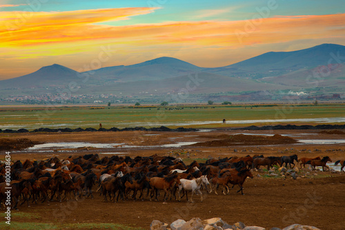 Beautiful landscape and Sultanmarshes (bird paradise) next to erciyes mountain, Kayseri photo