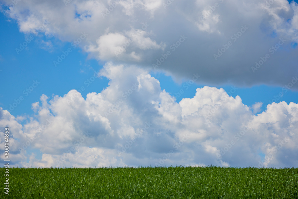 landscape with a green wheat field with clouds above landscape with a green wheat field with clouds above