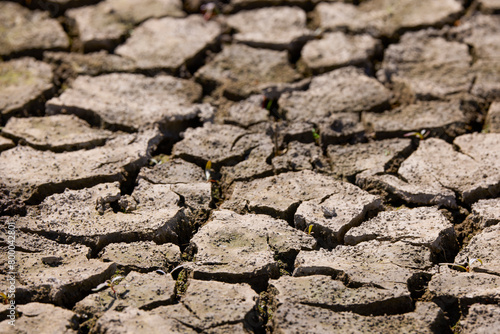 Part of a Huge Area of Dried Land Suffering from Drought - in Cracks photo