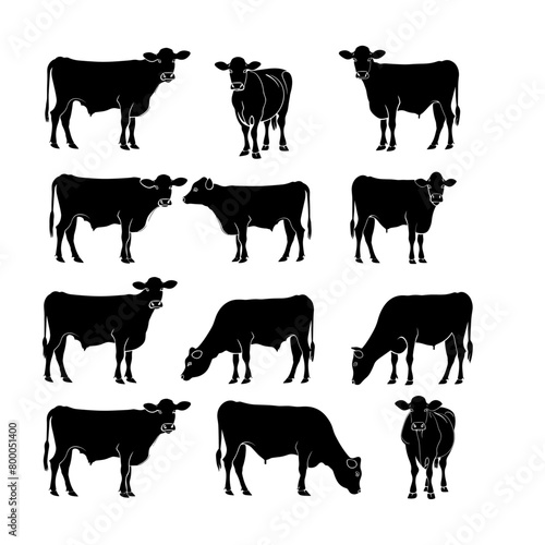 collection of black cow silhouettes showcasing different cow behaviors