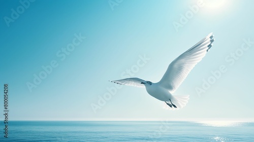 Seagull flying in the sky over the sea.