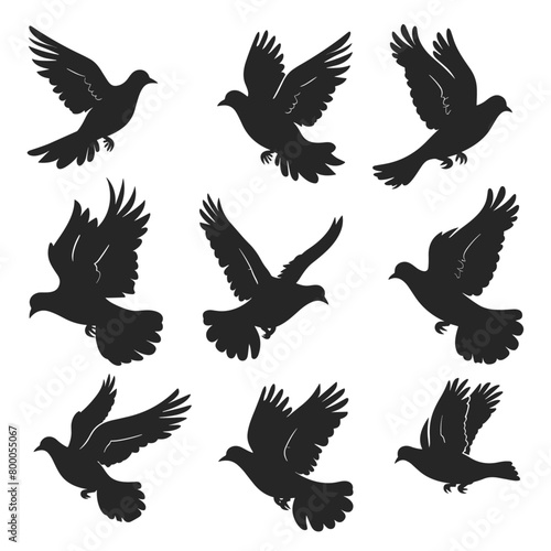Multiple silhouettes of different flying birds against a clear sky