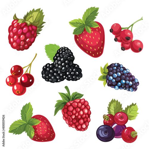 Berries  illustration  background  vector  fresh  fruits  bright  colors  summer