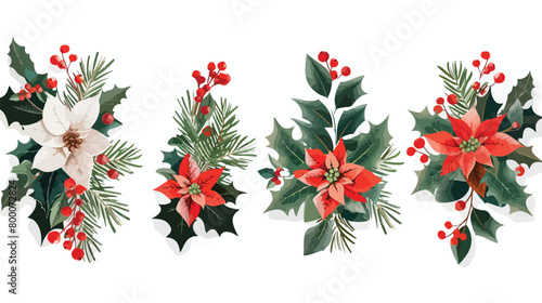 Four of Christmas compositions with poinFourtia