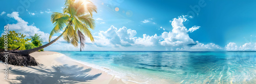 panoramic view of Tropical Beach with Lush Palm Tree Over Turquoise Waters Under a Brilliant Blue Sky