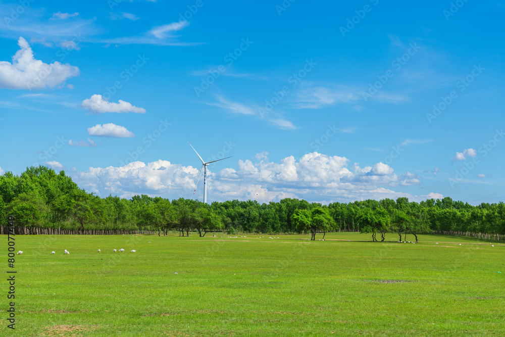 Fototapeta premium Windmill in the woods and lawn of Duerbot Mongolian Autonomous County, Daqing City, Heilongjiang Province