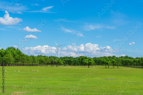 Windmill in the woods and lawn of Duerbot Mongolian Autonomous County, Daqing City, Heilongjiang Province photo
