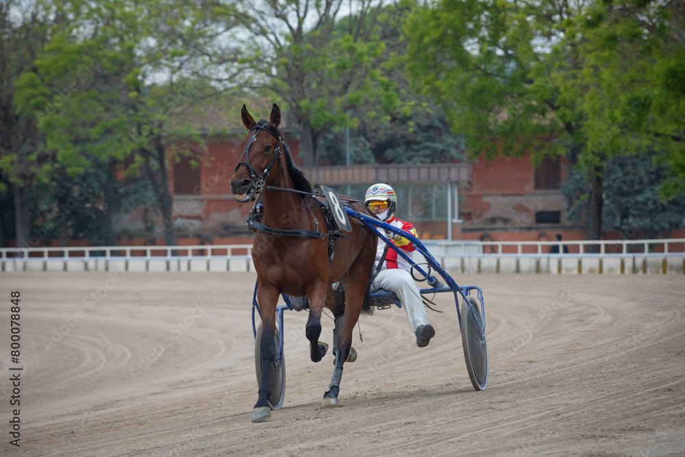 A jockey and his horse race on the Hippodrome track. A jockey and his horse race on the Hippodrome track.