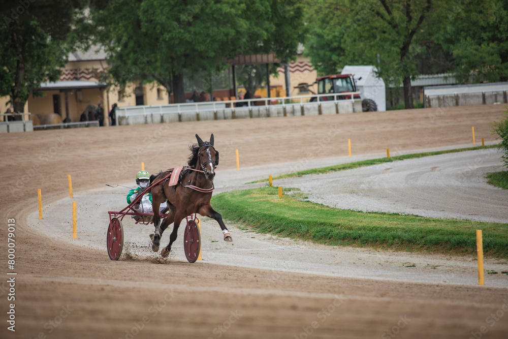 Fototapeta premium A jockey and his horse race on the Hippodrome track.