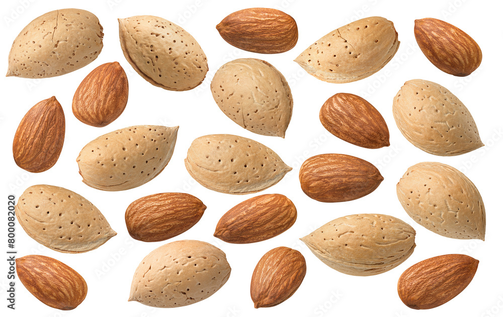 Peeled and whole almond nuts set isolated on white background Peeled and whole almond nuts set isolated on white background
