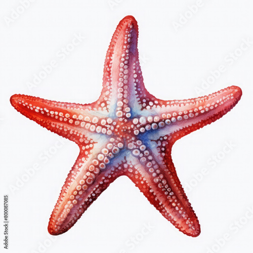 Watercolor Popular Starfish, clipart Illustration, Generative Ai