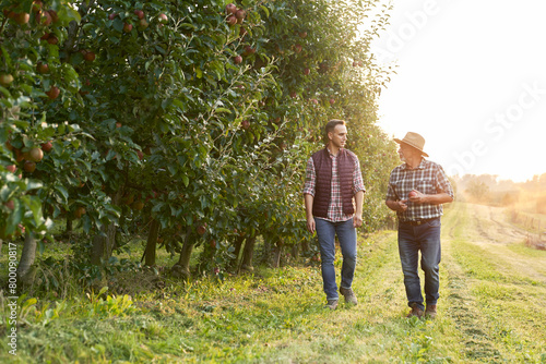 Obraz na płótnie Two caucasian farmers walking along orchard field during sunset w salonie