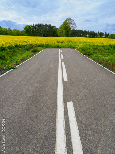 concept shot Road to nowhere photo