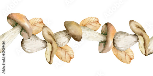 Autumn mushrooms with colorfull leaves seamless border. Hand drawn brown fungus, boletus edulis banner for home decor, kithen textile, stationery design. Fall arrangement. Cozy floral set photo