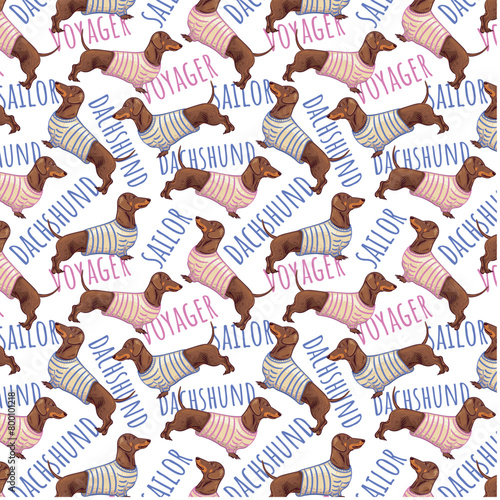 Dachshund sailor in a striped sailor suit on a white background. Marine Pattern with cute dachshund dogs. Vector background for postcard, yacht club, wrapping paper, decoration