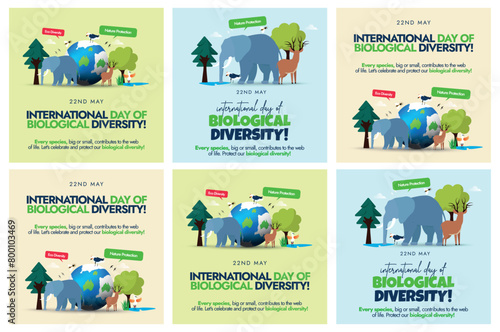 Set of Biological Diversity banners, post. World Day of Biological diversity celebration banners, posts, cards templates with different living species: elephant, trees, birds, flowers. 22nd May 2024.